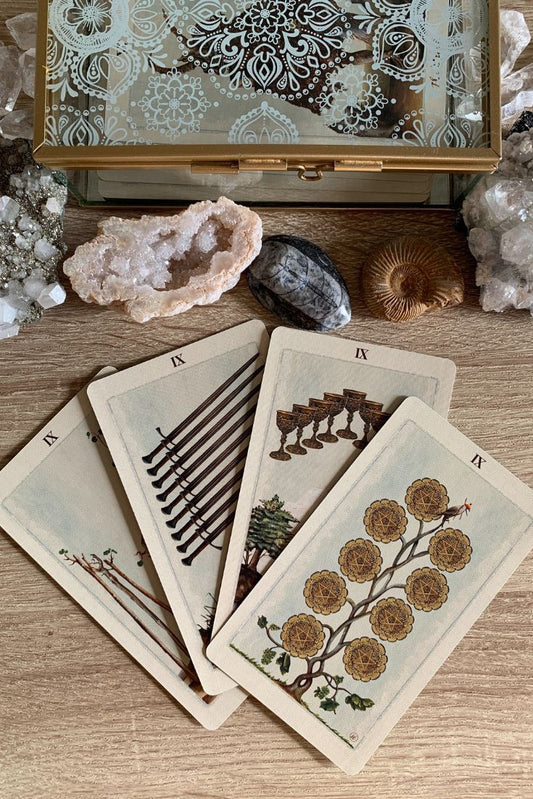 Astrology and Tarot Check-In Reading
